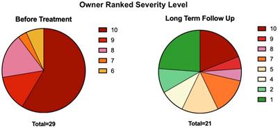 Mesenchymal stromal cell therapy for feline chronic gingivostomatitis: Long term experience